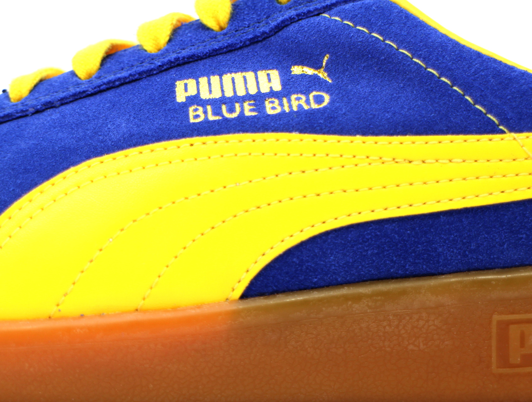 BLUE BIRD 351962-01 - 5