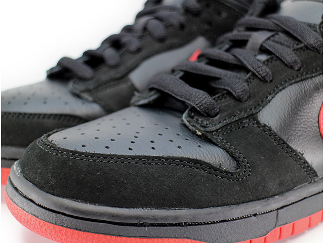 DUNK LOW PRO SB 304292-061 - 5