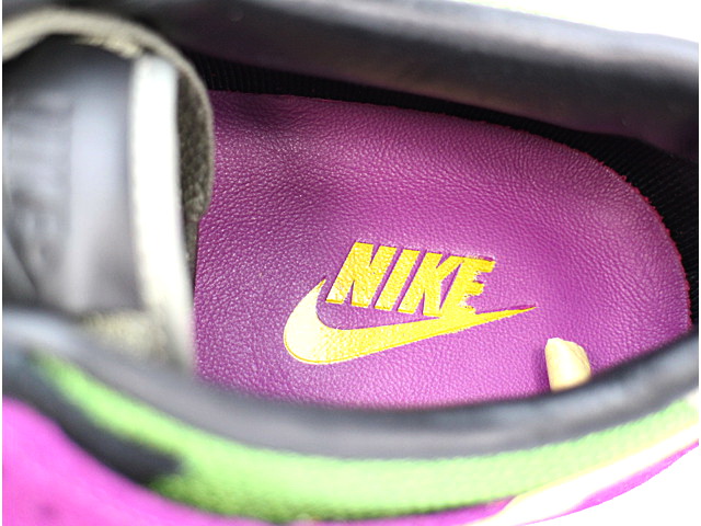 DUNK PRM LOW VIOTEC SP 617069-550 - 7