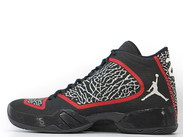 AIR JORDAN 29 695515-023