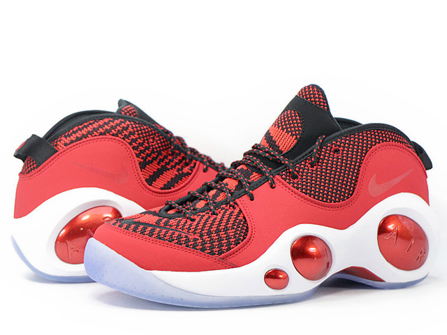 AIR ZOOM FLIGHT 95 SE 806404-600 - 1