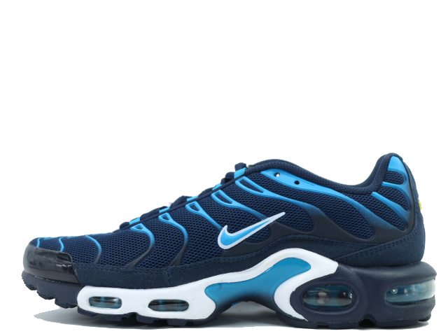 AIR MAX PLUS TXT 647315-446