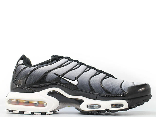 AIR MAX PLUS 604133-076 - 3