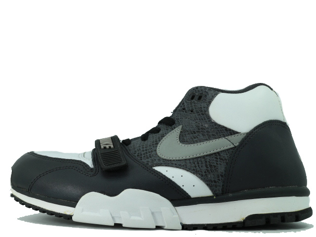 AIR TRAINER 1