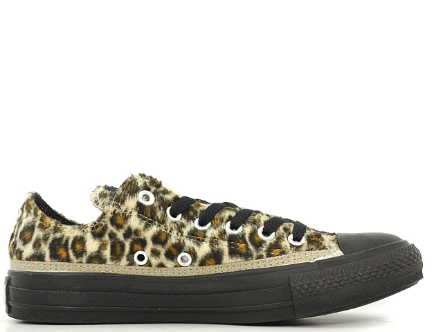 ALL STAR LEOPARD 2(A) OX 1C854 - 3