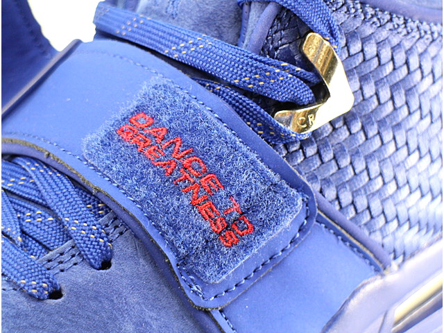 AIR TRAINER VICTOR CRUZ PREMIUM 812637-400 - 7