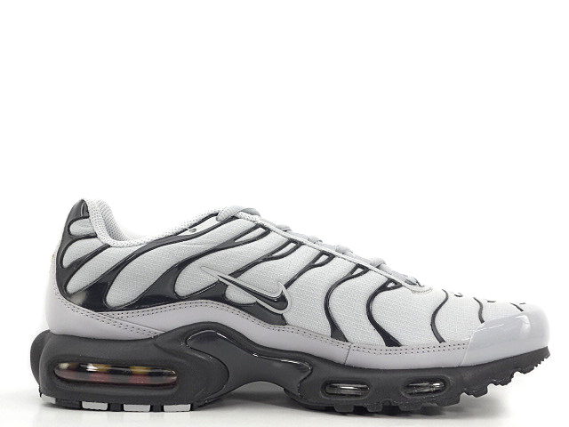 AIR MAX PLUS TXT 647315-099 - 3