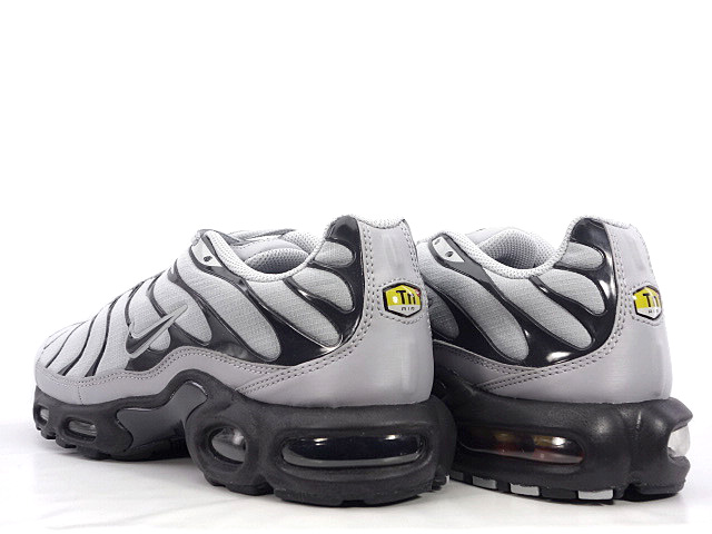 AIR MAX PLUS TXT 647315-099 - 2