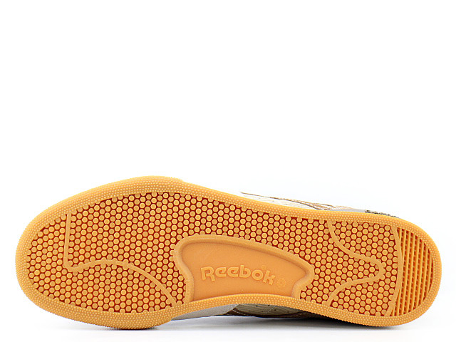 PHASE 1 PRO CNL AR1013 - 5