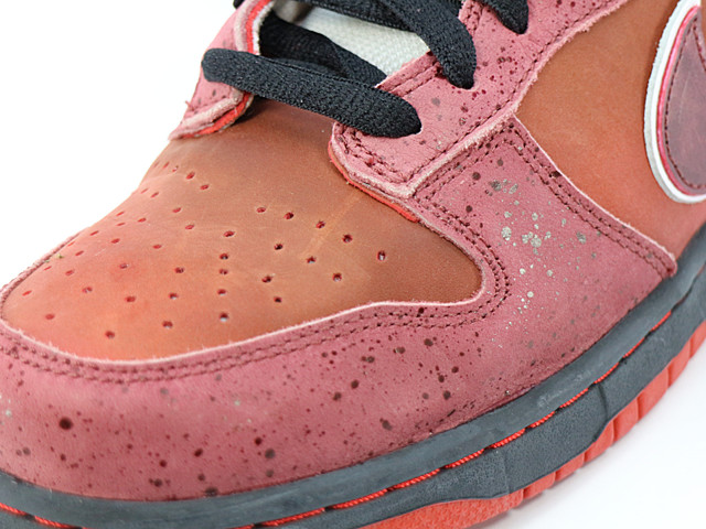 DUNK LOW PREMIUM SB 313170-661 - 5