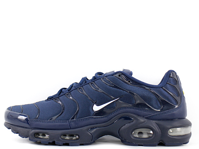 AIR MAX PLUS TXT 647315-416