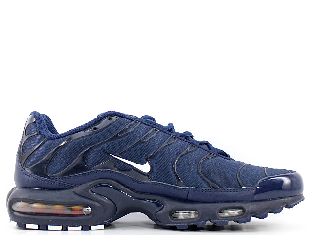 AIR MAX PLUS TXT 647315-416 - 3