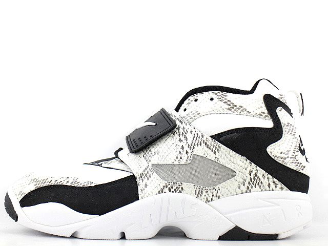 NIKE　ナイキ　Air DT MAX  Black White 28 10