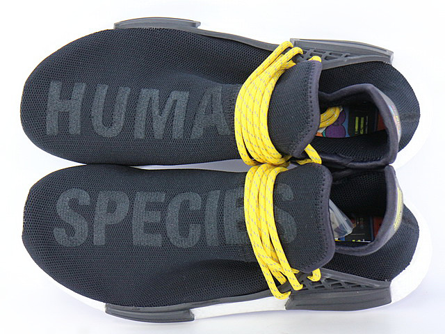 human adidas nmd