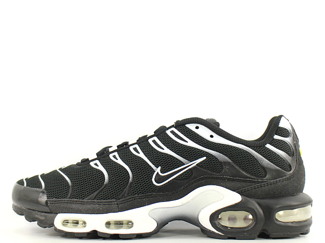 AIR MAX PLUS TXT 647315-013