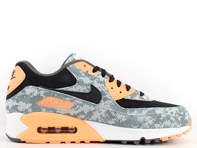 air max 90 prm beach