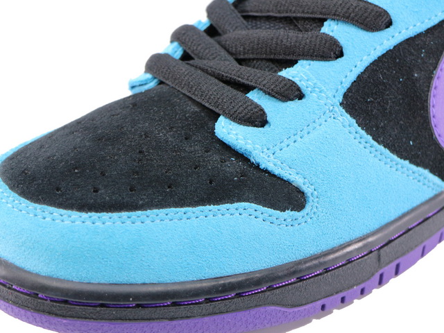 DUNK LOW PRO SB 304292-020 - 5