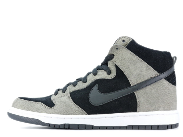 DUNK HIGH PRO SB 305050-204