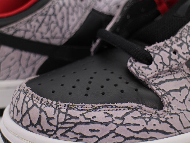 DUNK LOW PRO SB 304292-131 - 5
