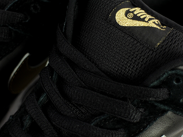 DUNK LOW PRO SB 304292-072 - 5