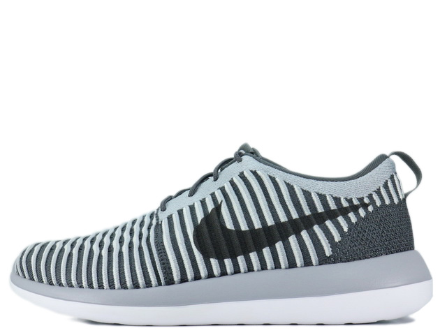 ROSHE TWO FLYKNIT PRM QS 844833-005