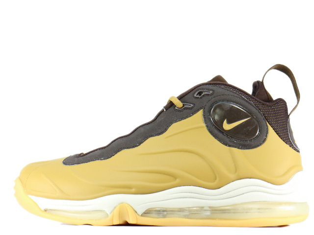 Nike air total foamposite max on sale