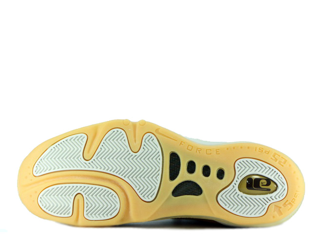 TOTAL AIR FOAMPOSITE MAX 307717-721 - 4