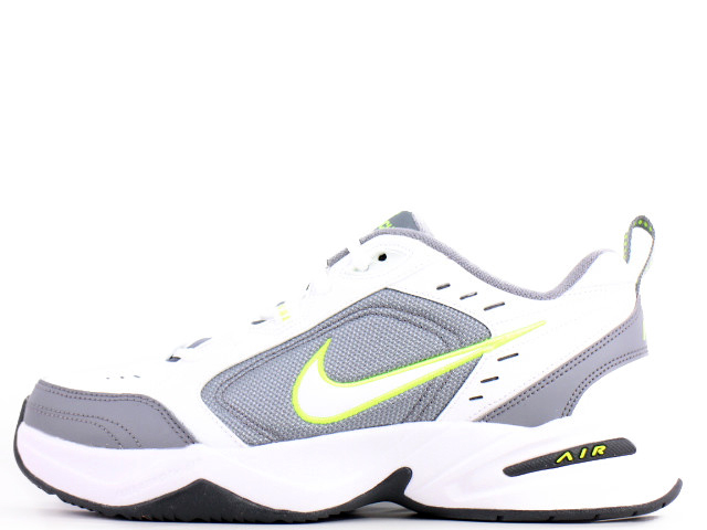 AIR MONARCH 4 415445-100