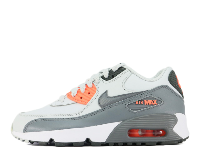 AIR MAX 90 LTR(GS)