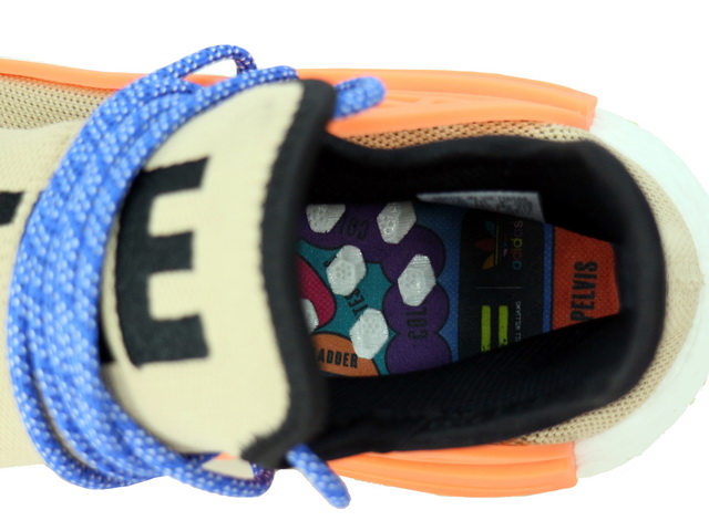 PW HUMAN RACE NMD TR AC7361 - 6