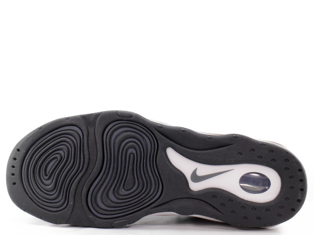 AIR PIPPEN 325001-004 - 5