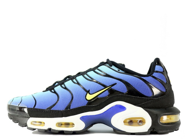 NIKE エアマックス プラス タイガー AIRMAX PLUS マップラ 28