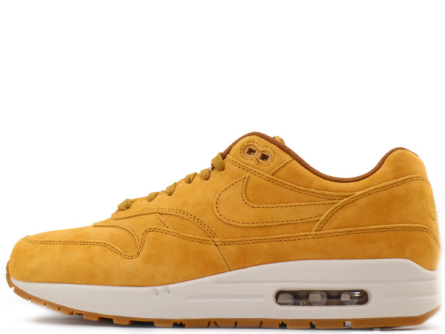 AIR MAX 1 PREMIUM 875844-701