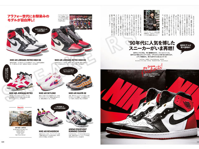 LIGHTNING 2019年1月号 Vol.29701
