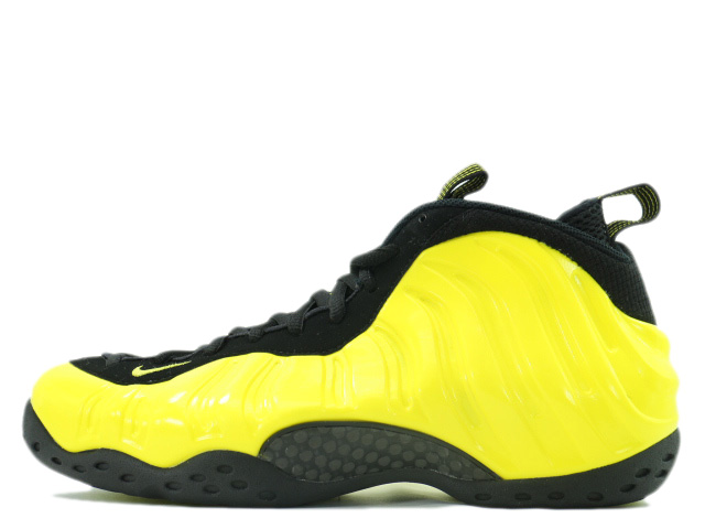 AIR FOAMPOSITE ONE 314996-701