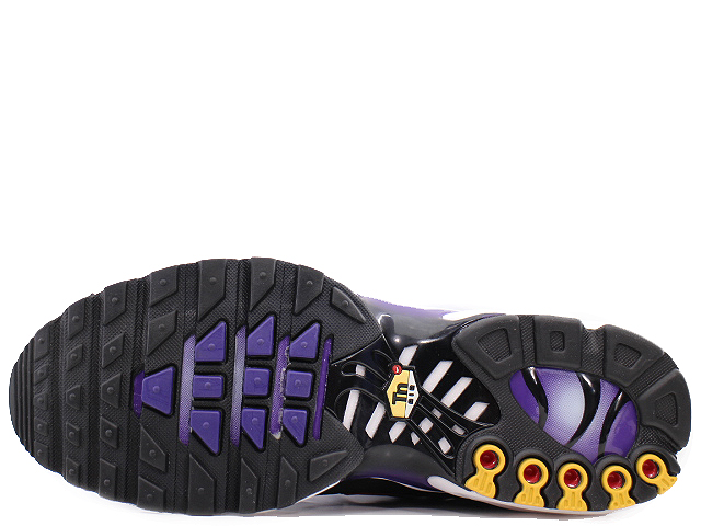 AIR MAX PLUS OG BQ4629-002 - 4