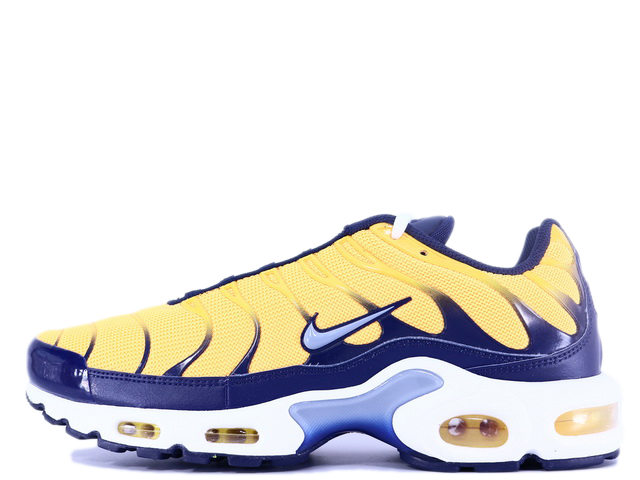 AIR MAX PLUS SE