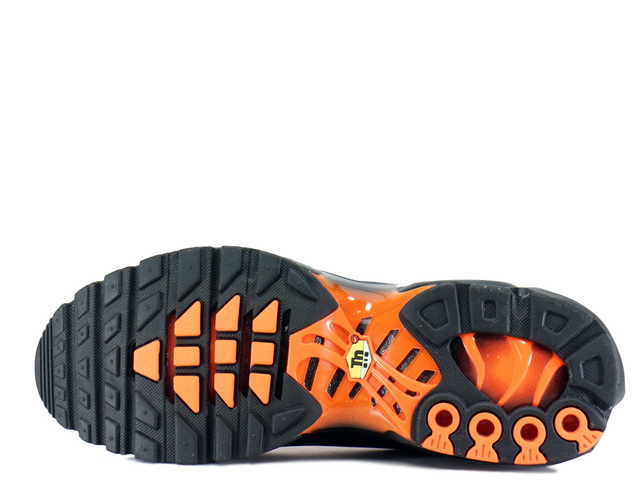 AIR MAX PLUS TN SE CI7701-001 - 4