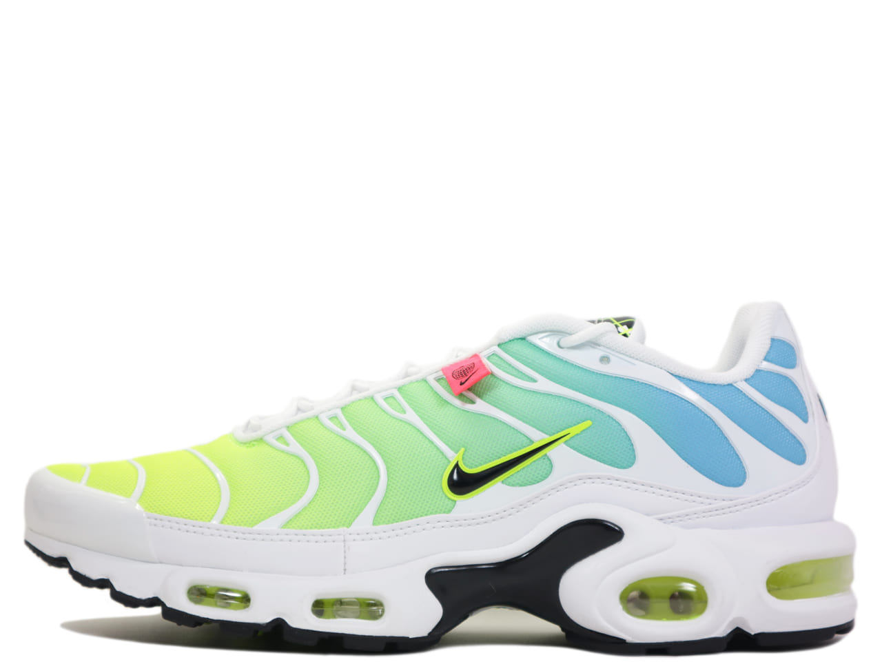 AIR MAX PLUS WW CK7291-100