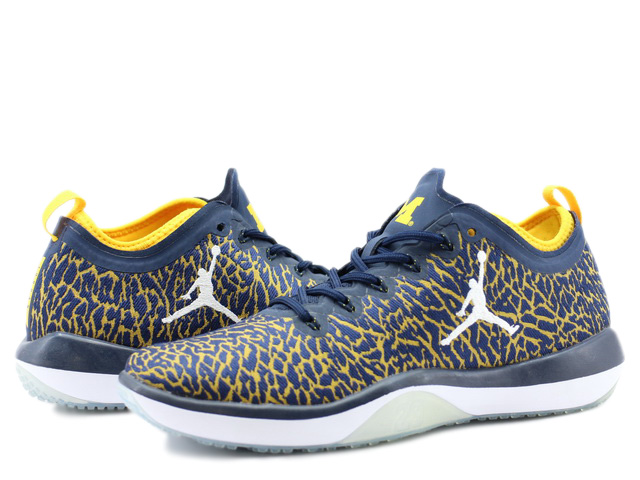 JORDAN TRAINER 1 LOW 845403-420 - 1