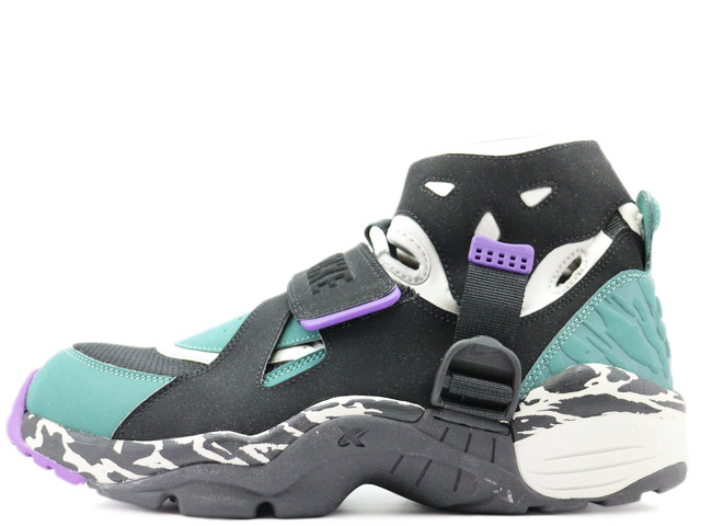 AIR CARNIVORE