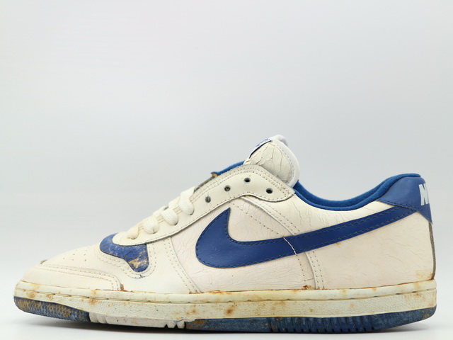 SKYTECH 19936