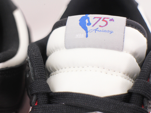 DUNK LOW RETRO EMB DD3363-100 - 4