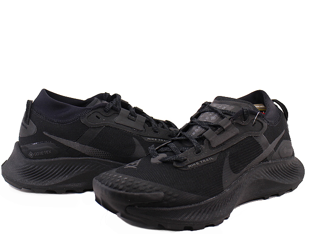 PEGASUS TRAIL 3 GTX DC8793-001 - 1