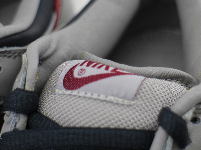 DUNK LOW PRO 304714-061 - 5