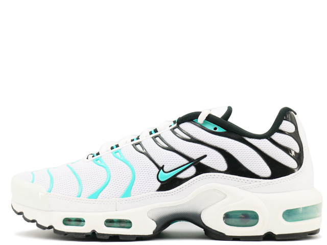 AIR MAX PLUS 604133-148