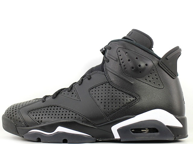 AIR JORDAN 6 RETRO 384664-020