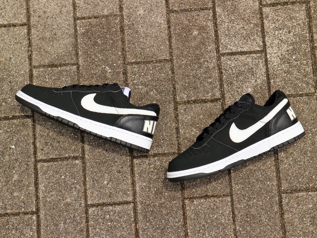 BIG NIKE LOW LUX01