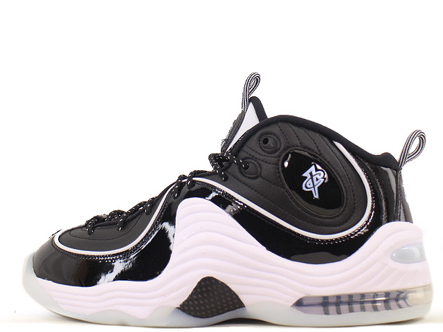 AIR PENNY 2