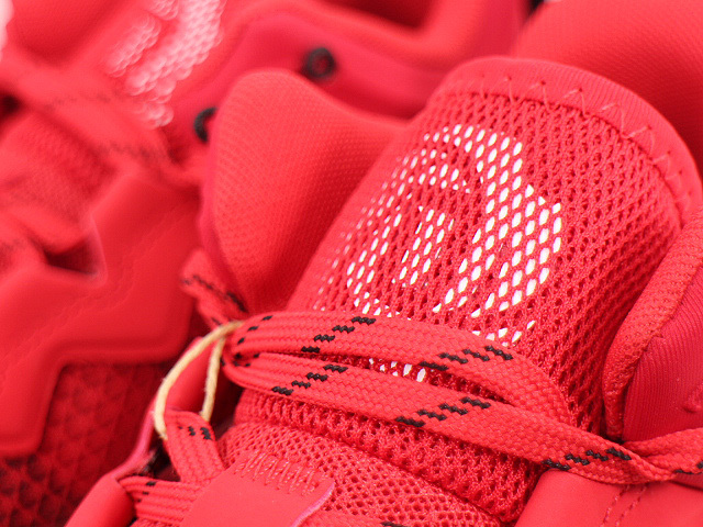 D ROSE SON OF CHI GY3268 - 4